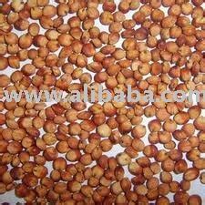 Sorghum Cameroon Price Supplier Food