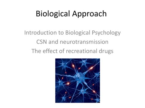 biological approach
