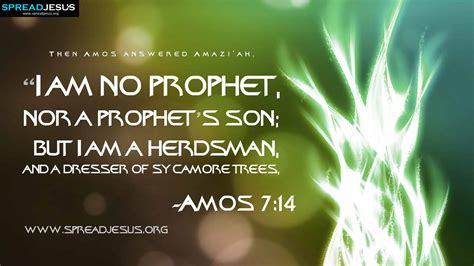 Amos 7:14 BIBLE QUOTES HD-WALLPAPERS Then Amos answered