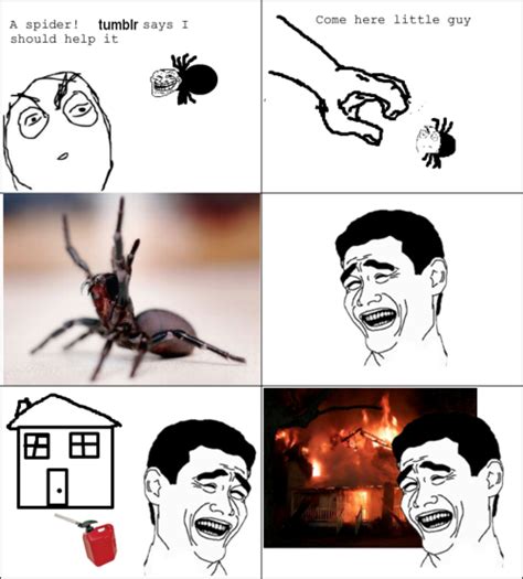 Spider Meme Burn House