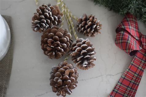 Diy Pine Cone Swag For Christmas