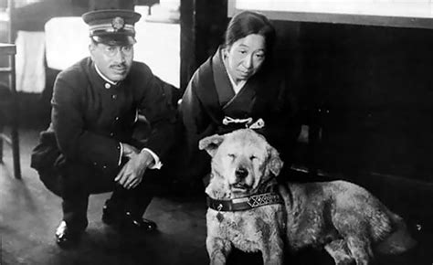 Rare Photos Of Hachiko, The World’s Most Loyal Dog » Design You Trust ...