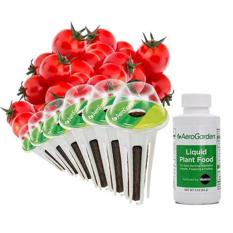 Shop AeroGarden Cherry Tomato 6-Pod Seed Kit at Lowes.com