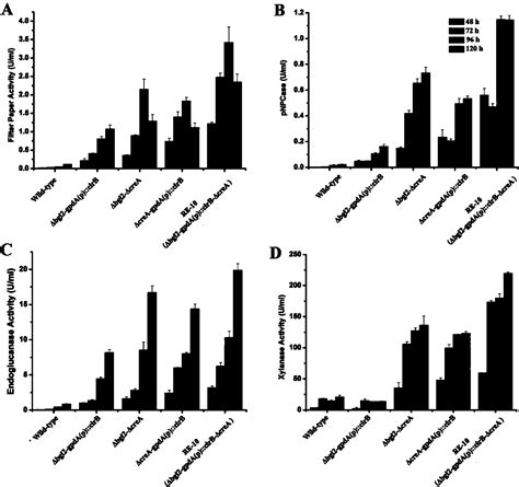 Penicillium Oxalicum Strain For Increasing Enzyme Activities Of