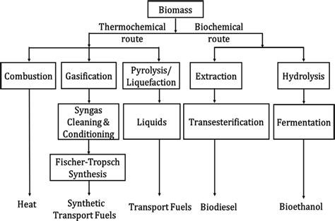 Thermochemical And Biochemical Conversion Routes For Biomass To