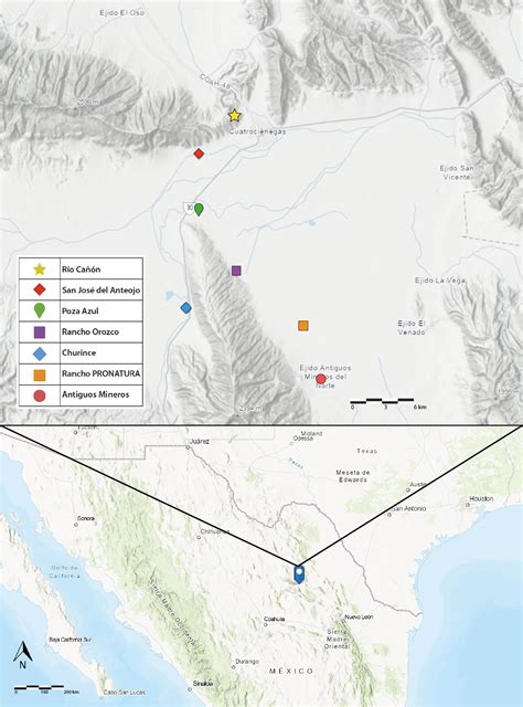 Diversity Of The Longhorned Beetles Coleoptera Cerambycidae From