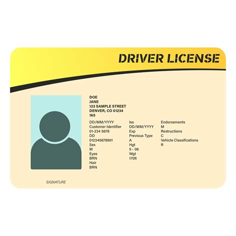 14 Best Drivers License Printable Template