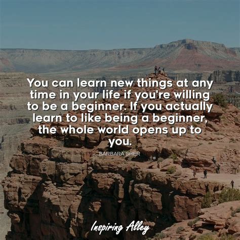 47 Quotes About Being A Beginner Ella2108