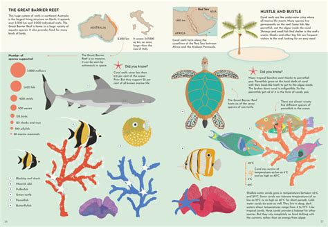 Ocean: Secrets of the deep - What on Earth! What On Earth? Books