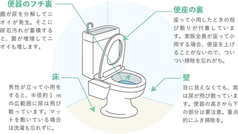 「トイレ掃除」汚れもニオイもスッキリ！場所別掃除のコツ決定版！ Lideaリディア By Lion