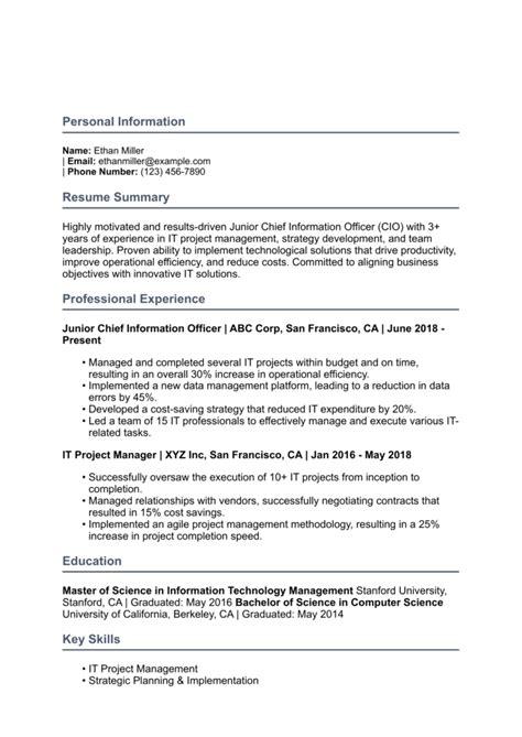 Cio Resume Examples Templates For Resume Buildr