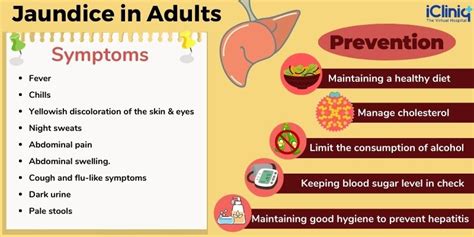 Understanding Jaundice: Causes, Symptoms, And Treatment - Ask The Nurse ...