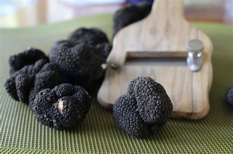 Trüffel essen: Eine Kostbarkeit in der gehobenen Gastronomie