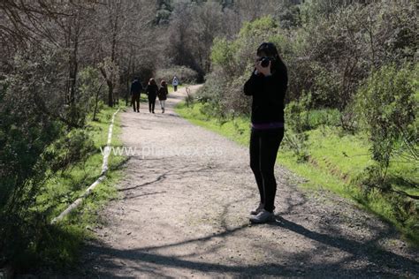 Rutas Gratuitas Por El Parque Nacional De Monfrag E