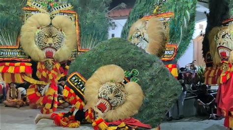 Merinding Pembarong Legend Reog Macan Tutul Terbesar Gegerkan Desa