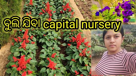 Capital Nursery In Bhubaneswar Tinulifestyle