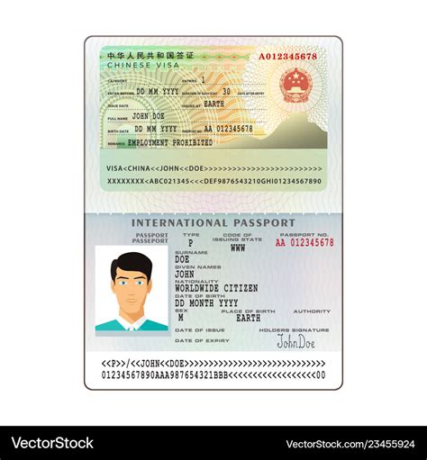 International open passport with china visa Vector Image