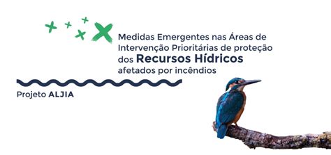 “medidas Emergentes Nas Áreas De Intervenção Prioritárias De Proteção