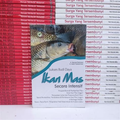 Jual Buku Obral Murah Sukses Budi Daya Ikan Mas Secara Intensif