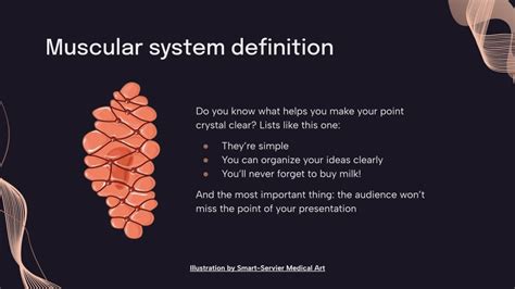 The Anatomy and Physiology of the Muscular System