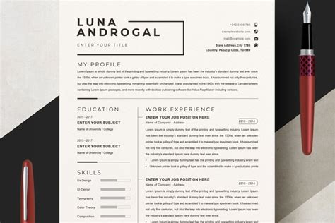 Minimalist Resume Template Word Professional