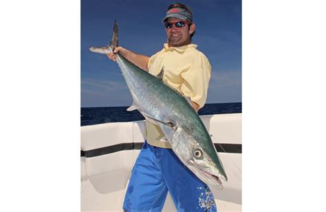 Spanish Mackerel Rigs