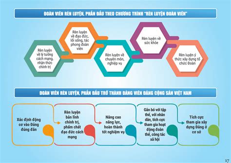 B Infographics B I H C L Lu N Ch Nh Tr Cho O N Vi N Thanh Ni N