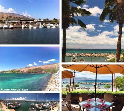 Things to do in Maalaea - Central Maui Harbor Shops, Dining, Fun!