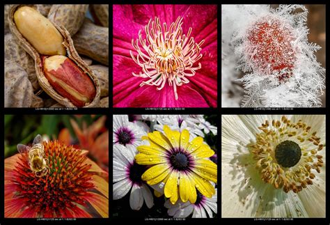 Your Guide to Macro Photography Equipment (10 Tips)