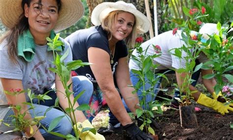 Curso De Jardinagem Cursos Livres Senac Portal Do Aluno