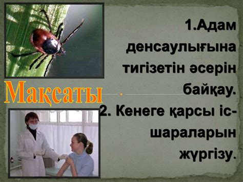Кене энцефалиті - презентация онлайн