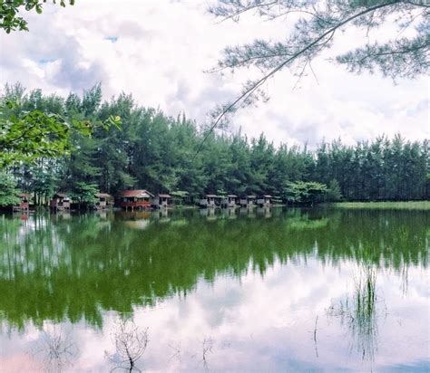 Bangka Botanical Garden Daya Tarik Lokasi Dan Biaya Masuk