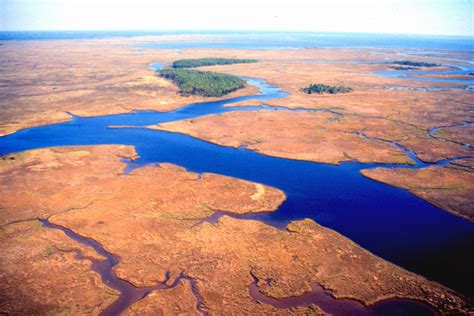 Oceanography Estuaries