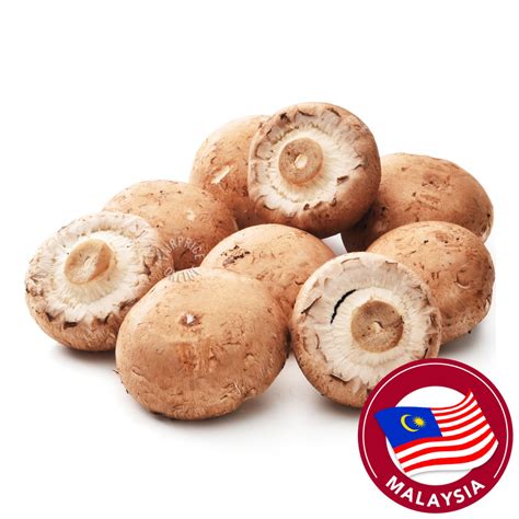 Pasar Malaysia Portobello Mushroom Mini NTUC FairPrice