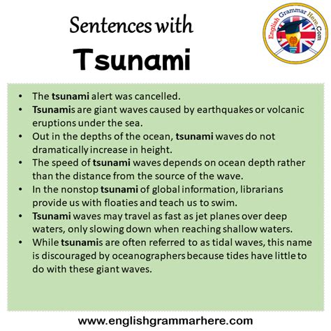 Sentences With Tsunami Tsunami In A Sentence In English Sentences For