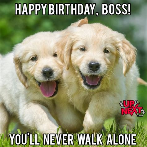 Happy Birthday Boss Funny Meme