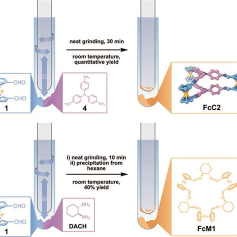 Synthesis Of Fcc2 From 1 And Tris 4 Aminophenyl Amine 4 Top And Download Scientific Diagram