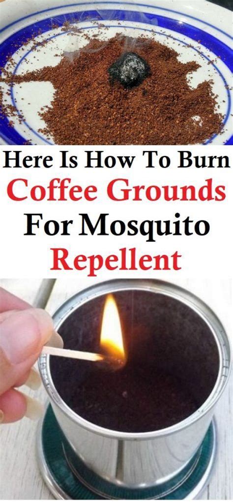 Here Is How To Burn Coffee Grounds For Mosquito Repellent Burnt