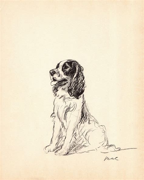 1937 Vintage Springer Spaniel Print Lucy Dawson Springer Etsy Horse