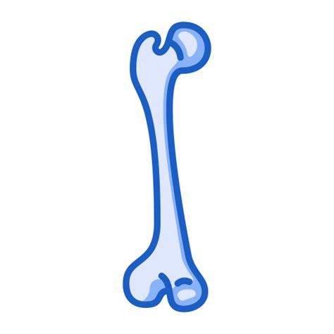 Human Generic color lineal-color icon