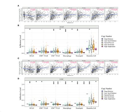 Exploration Of The Immune Association Of Ifi L In Luad And Lusc