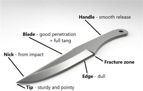 Best Throwing Knives for Beginners [2025]