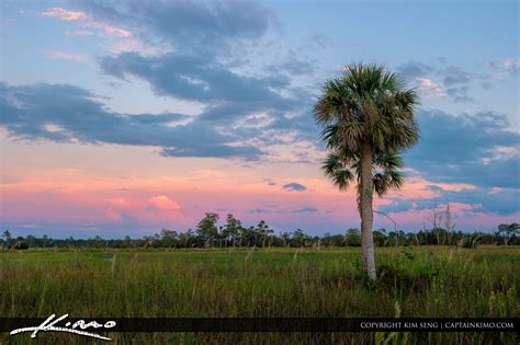 Pine Glades Natural Area Sunset Hdr Photography By Captain Kimo