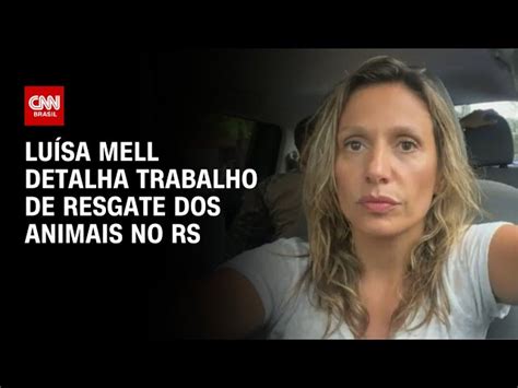 Cnn Lu Sa Mell Relata Desafios No Resgate De Animais Durante