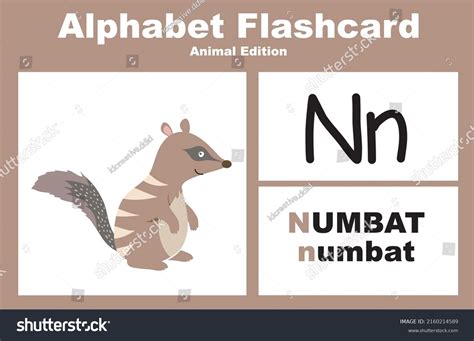 Printable Alphabet Animal Flashcards Collection Learning Stock Vector