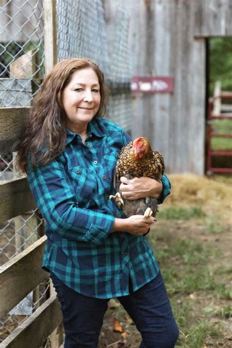 How Cold Is Too Cold For Backyard Chickens Timber Creek Farm