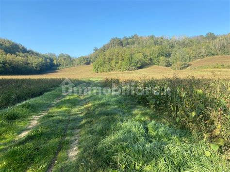 Terreno Agricolo Via Guglielmo Marconi 85 Scurzolengo Rif 106548231