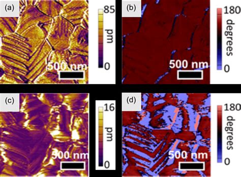 Micrographs From Different Piezoforce Microscopy Pfm Measurements Of