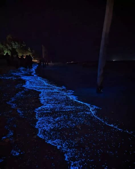 Glowing Planktons on Thulusdhoo Beach in Maldives