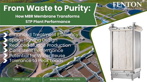 From Waste To Purity How Mbr Membrane Transforms Stp Plant Performance